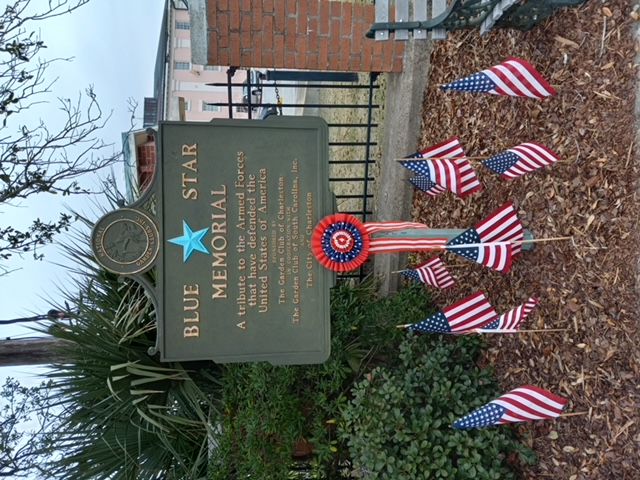 Blue Star Marker