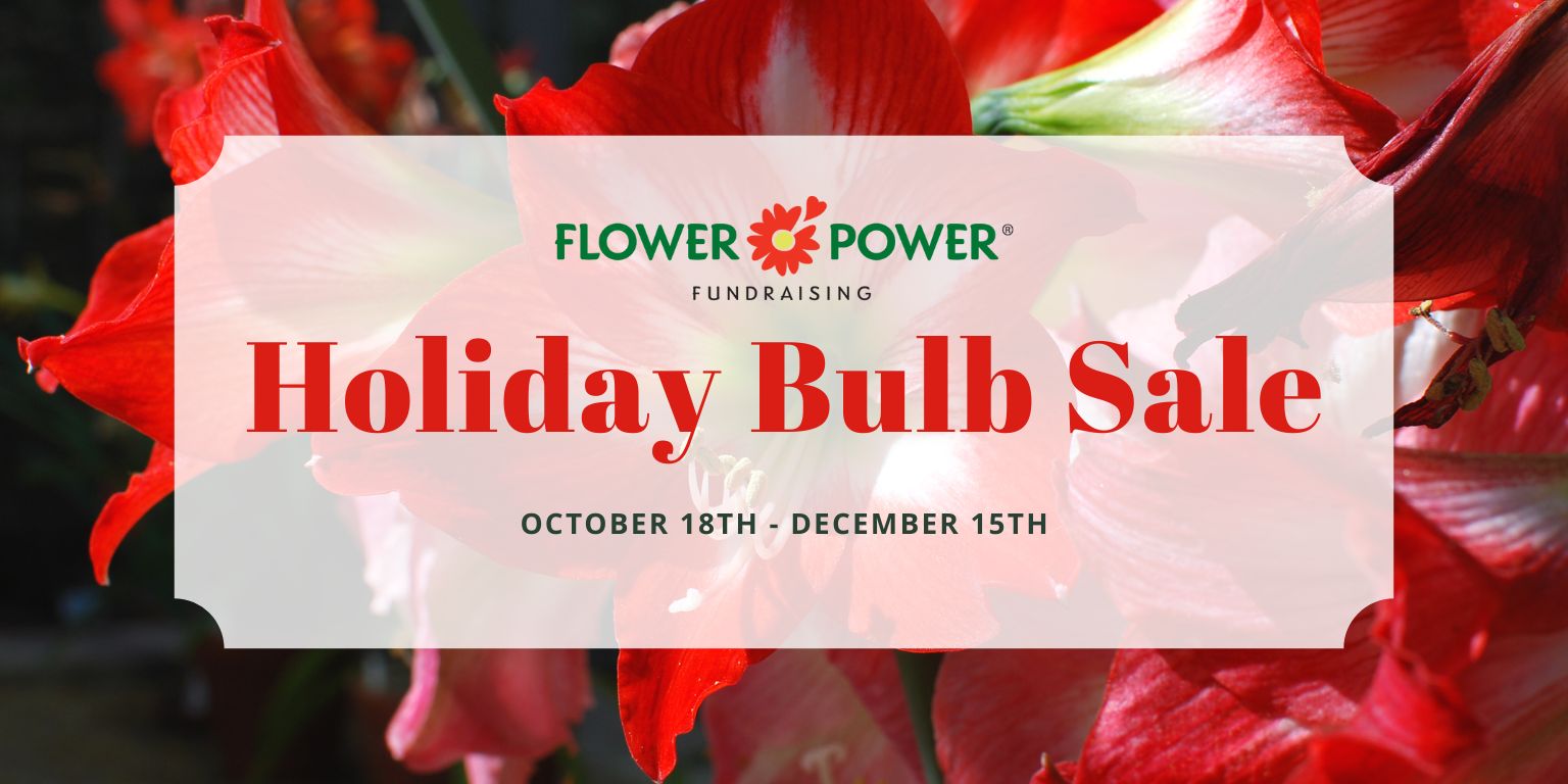 Flower Power Holiday Bulb Sale Oct 18 - Dec 15